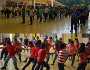 Palaro 300x233