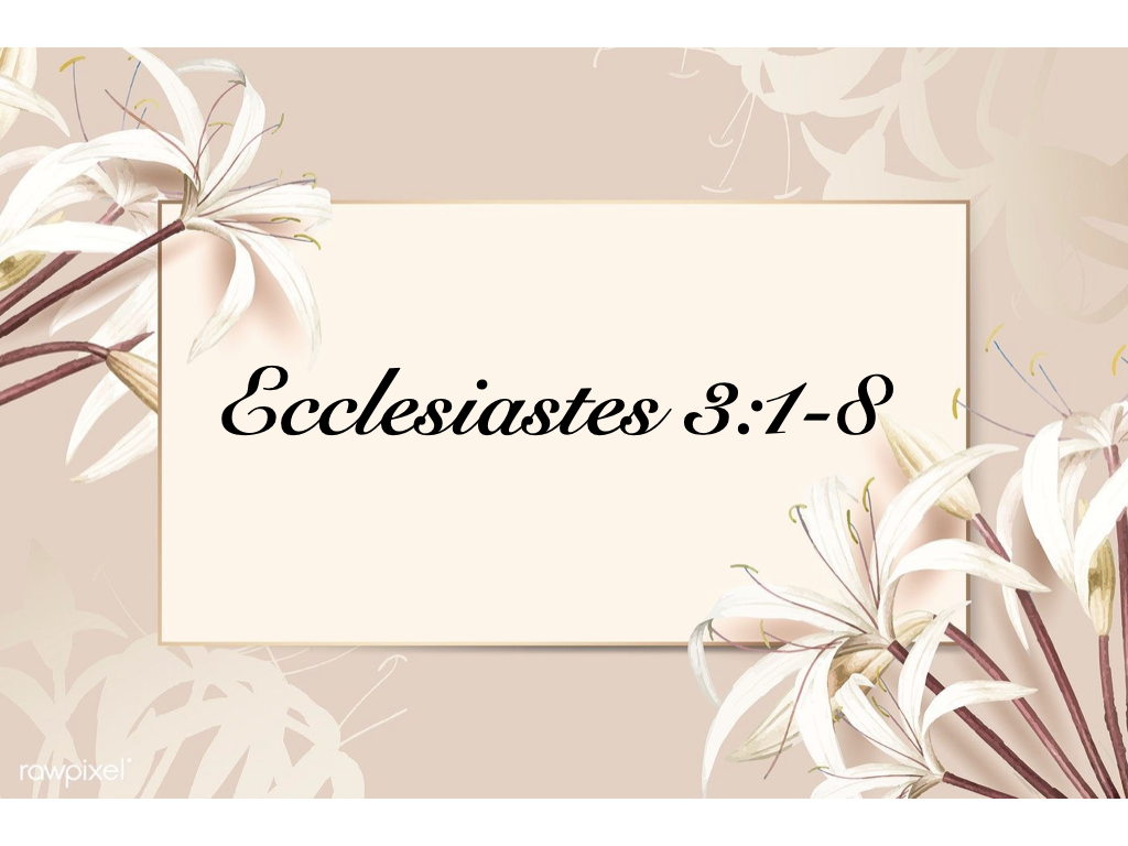 Bereavement Fellowshipsy 20 21.002