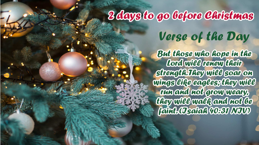 Xmas D 2